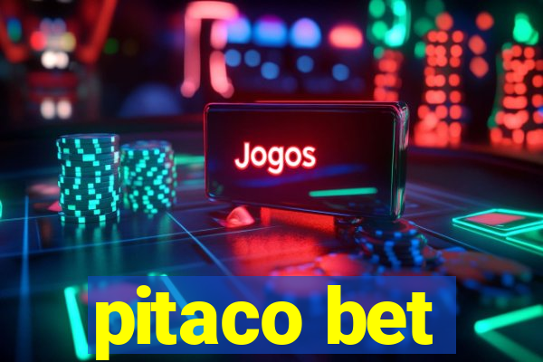 pitaco bet